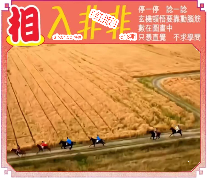 资料图片