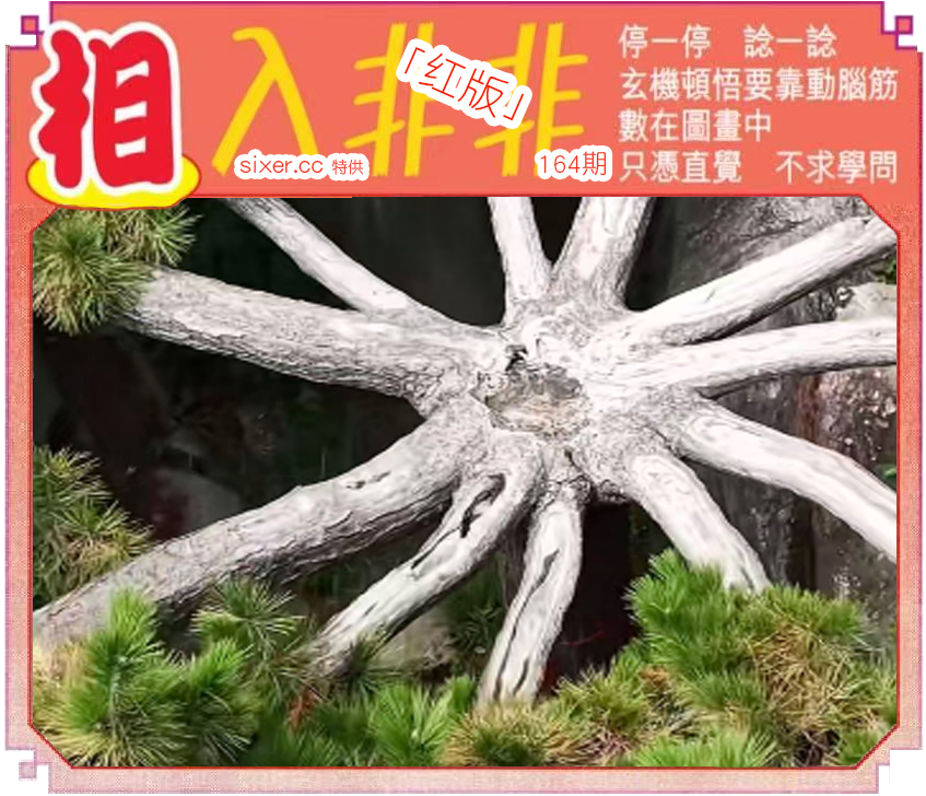 资料图片