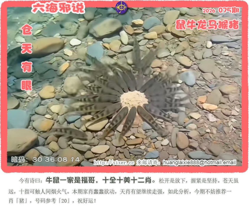 资料图片