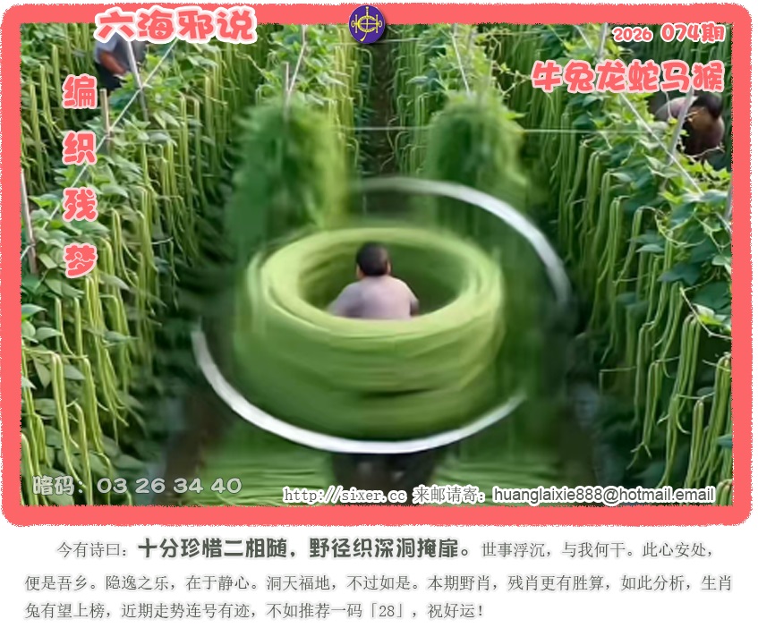 资料图片