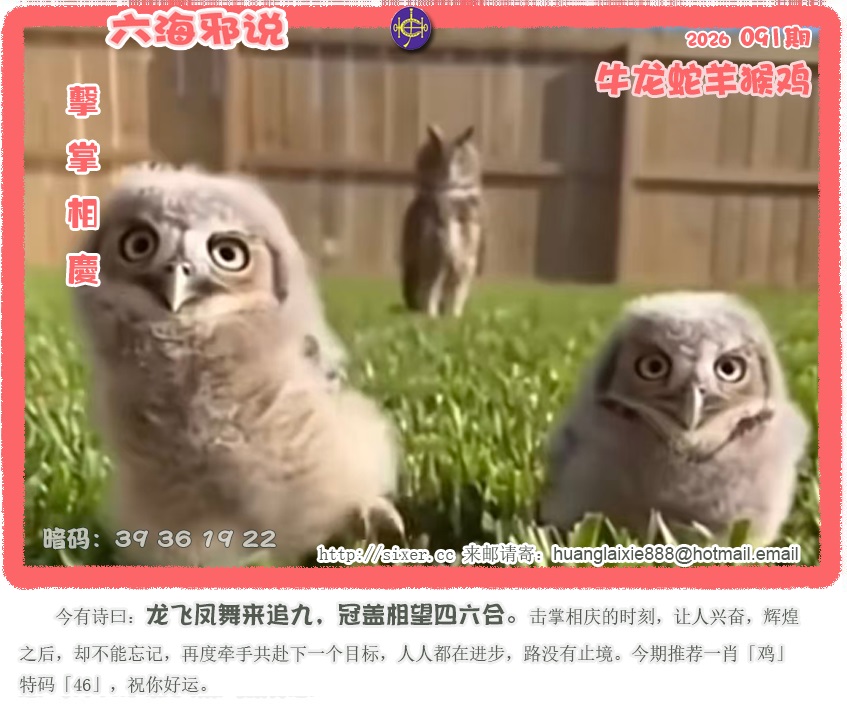 资料图片