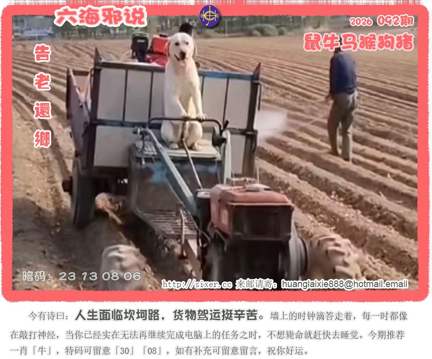 资料图片