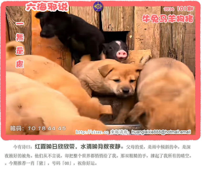 资料图片